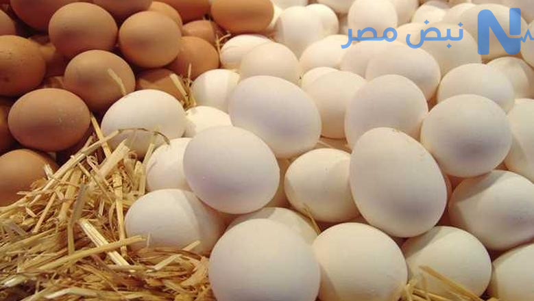 سعر كرتونة البيض اليوم للمستهلك في مصر الجمعة 22 مايو 2026 بعد استقرار الاسعار