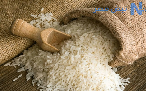سعر الارز الشعير اليوم الجمعة 22 مايو 2026 في الأسواق.. استقرار طن الشعير والأرز الأبيض