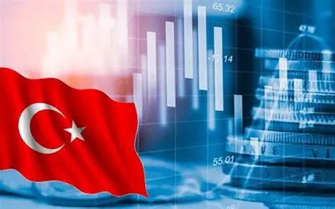 ارتفاع أسعار الطاقة يهدد الاقتصاد التركي بموجة ركود جديدة خلال السنوات المقبلة