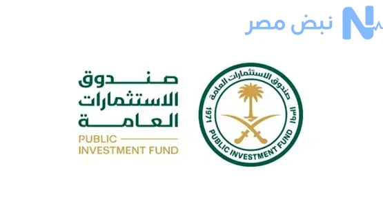 صندوق الاستثمارات العامة يدرس بيع حصة أقلية في نيوكاسل يونايتد لتمويل مشروعات التطوير