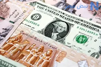 الدولار يواصل الارتفاع أمام الجنيه المصري وسط ضغوط اقتصادية متزايدة