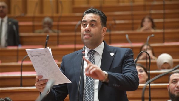 تحرك برلماني بشأن تطبيق نظام المحاسبة الموحدة على العدادات الكودية للكهرباء- نبض مصر