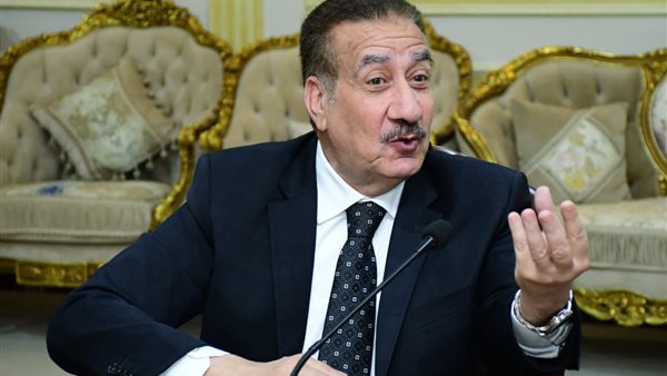 دور العبادة شريك أساسي في التوعية بالقضايا السكانية- نبض مصر