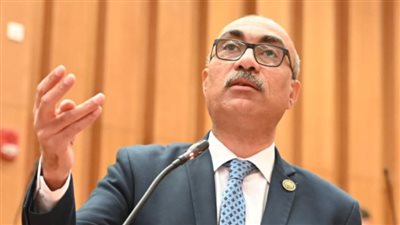 رفع تكلفة العدادات الكودية عبء على المواطنين ويجب مراعاة محدودي الدخل والمتقدمين للتصالح- نبض مصر