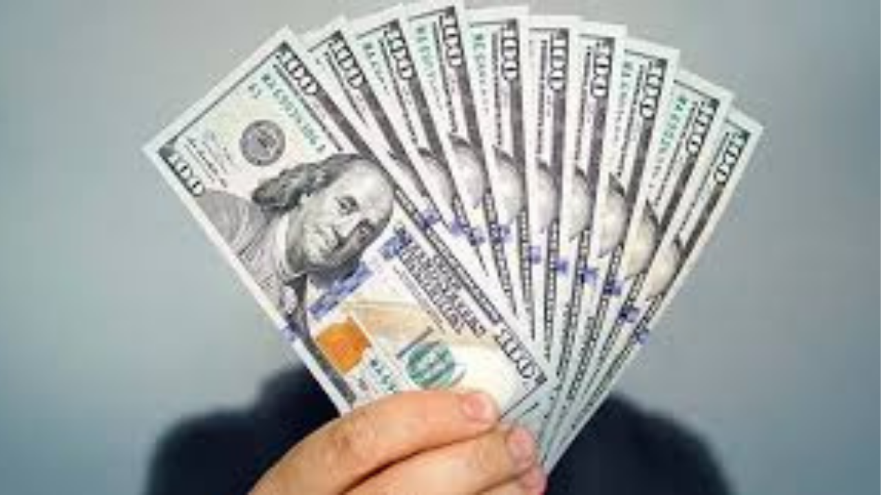 استقرار سعر الدولار في البنوك المصرية