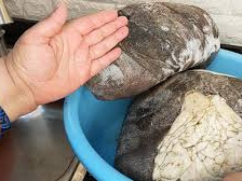3 طرق لتنظيف الكرشة بعد الفريزر والتخلص من الزفارة نهائيًا.. بمكون سحري