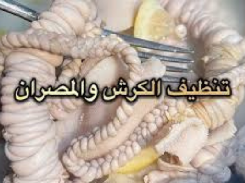 طريقة تنظيف الكرشة بسهولة في البيت بدون ريحة.. وصفات فعالة وخطوات سريعة قبل طبخها في عيد الأضحى