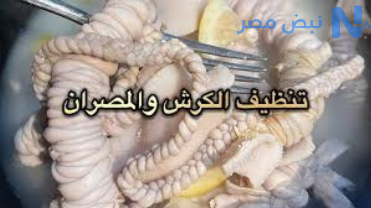 طريقة تنظيف الكرشة بسهولة في البيت بدون ريحة