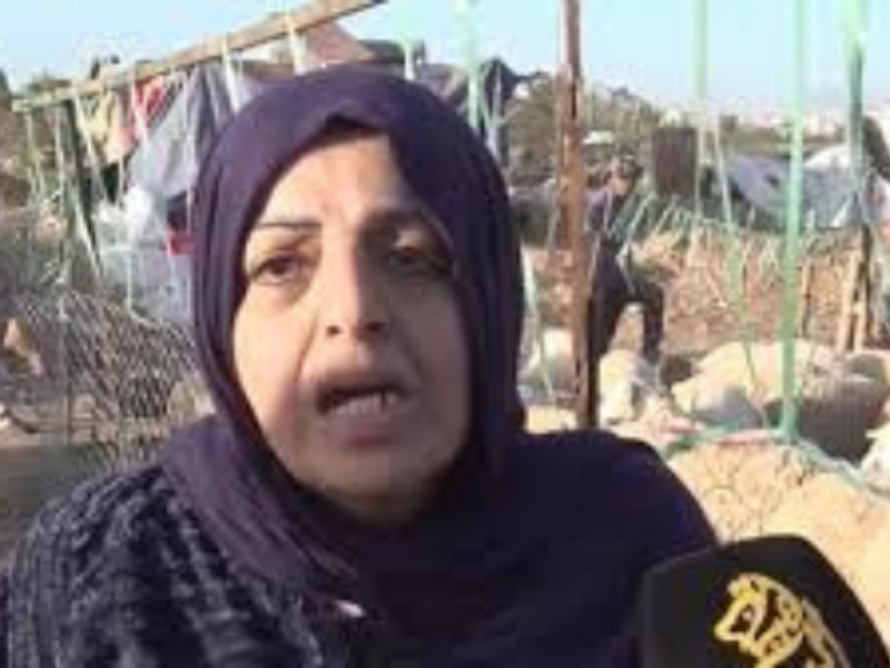 من سوق أضاحي يشعل الجدل في الجزائر.. مطالبات بمواجهة التحرش اللفظي ضد النساء