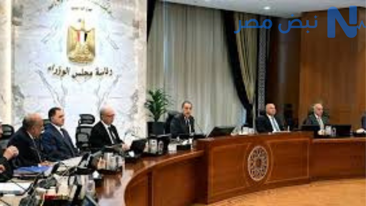 مشروع الدلتا الجديدة يعيد رسم الخريطة الزراعية لمصر ويدعم الأمن الغذائي ويوفر فرص عمل واسعة