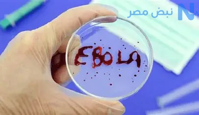 مصر ترفع حالة التأهب لمتابعة إيبولا.. وخبراء يوضحون طرق العدوى والأعراض
