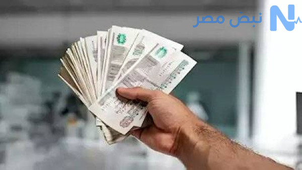 بعد تثبيت الفائدة.. تعرف على أعلى عائد على شهادات الادخار 2026 بالبنوك في مصر وأرباح استثمار 100 ألف جنيه