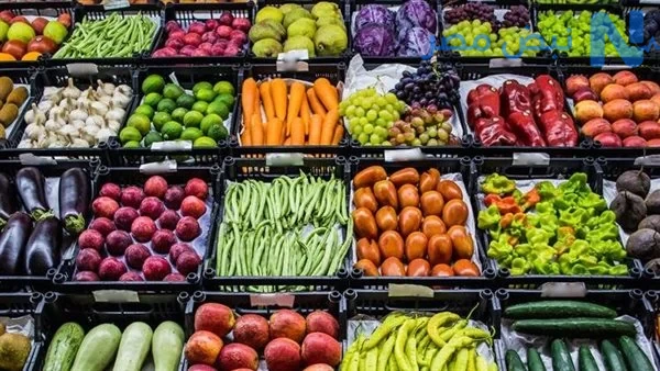 استقرار أسعار الخضراوات والفاكهة في مصر الأربعاء 3 يونيو 2026 في أسواق الجملة.. الطماطم بين 10 و25 جنيهًا